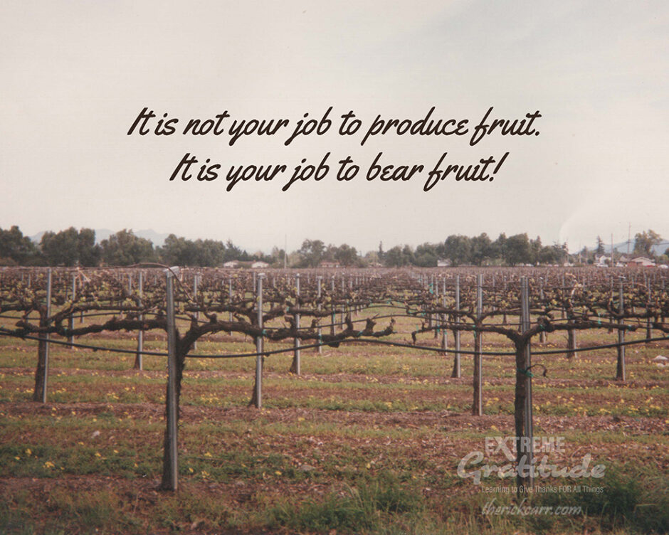 It's your job to bear fruit